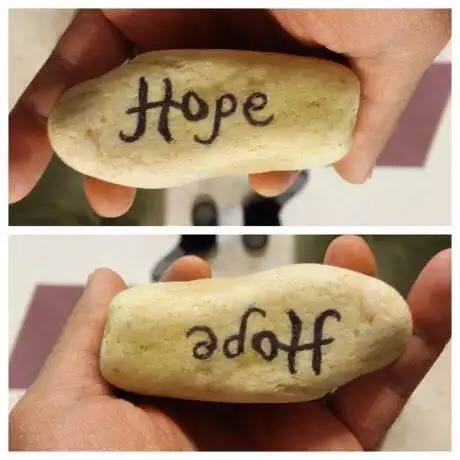 A stone containing the word "Hope" styled in a way that it becomes "adolf" when turned around.