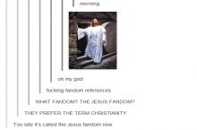 They prefer the term christianity