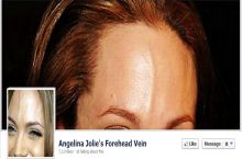 Best Facebook page ever