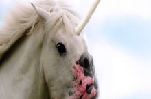 just googled "majestic internet creature" and..
