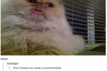 oh god, what is that