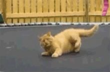 That moment when your friends won't stop jumping so you can't get up...
