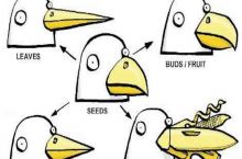 A bird's beak