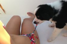The real reason he's mans best friend