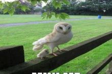 And I shall call him mini me