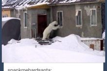 Tumblr thinks he is unbearable