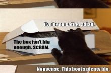 Even if I don't fits, I sits. So f*ck you.