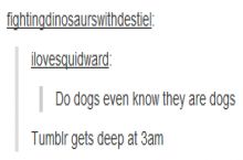 Never go on Tumblr when its dark outside
