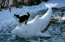 Onward to victory!