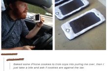 /r/firstworldanarchists in action