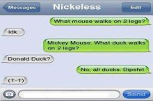 donald duck?