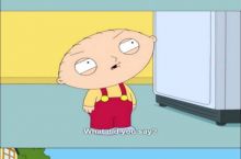 Brian is the only dog for Family Guy,