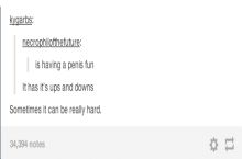 We should erect a city in tumblr's honor