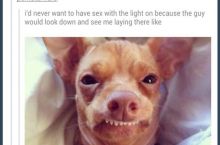 I guess she doesn't like light sex