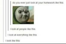 oh tumblr