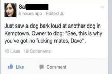 Get your shit together, Dave.
