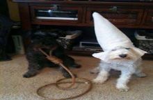 KKK