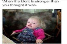 That image is just the perfect description