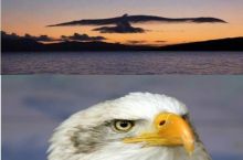 Muh freedom
