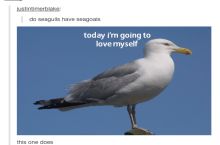 I love it when a joke is so bad it's funny