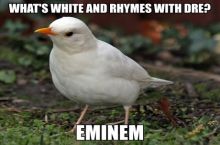 Bad Pun: #1