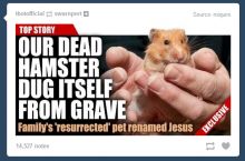 LONG LIVE JESUS