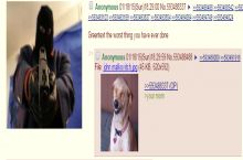 Just 4Chan.