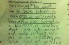 BEST ANSWER