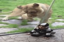 Me trying to downvote a repost on the front page