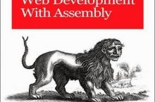 ASM WebDev