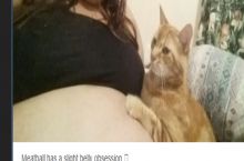On the next picture the cat will become a meatball.
