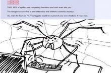 Spider master race