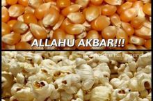 Religious extremism