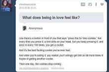 The cookies...