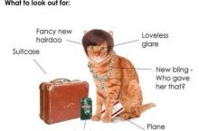Is your cat getting ready to leave you?