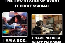 Every IT professional