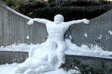Snowblower