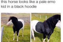 Cheer up, emo horse