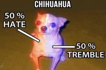 This is highly accurate...