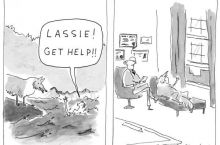 Lassie, get help!