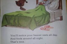 Does your beaver rest all day?