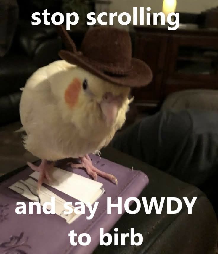 GM partner. Howdy?