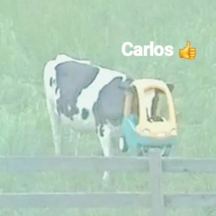 Carlos