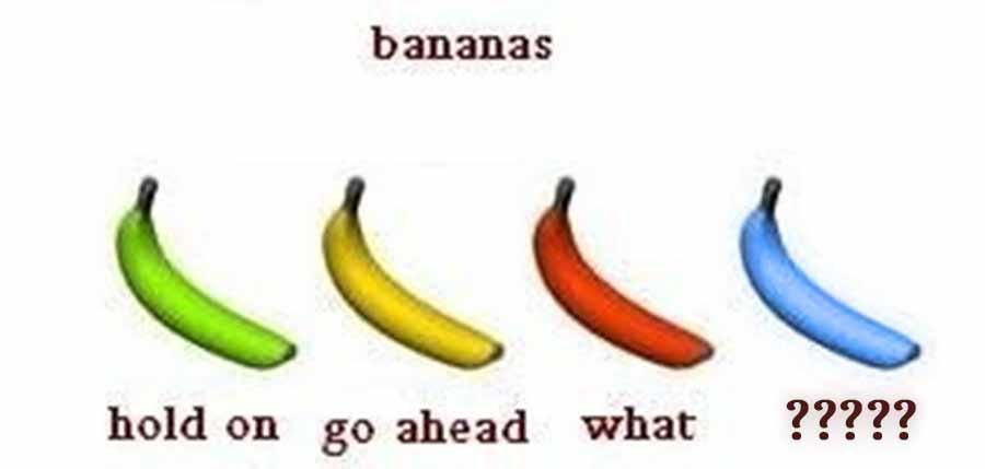 No one knew about the fourth level before