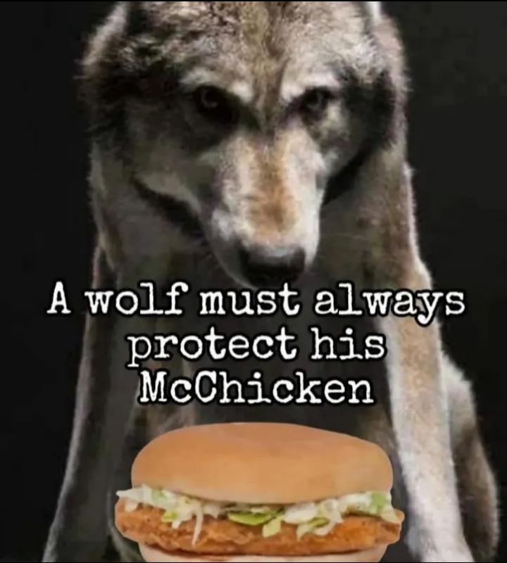 Don't worry McKitten