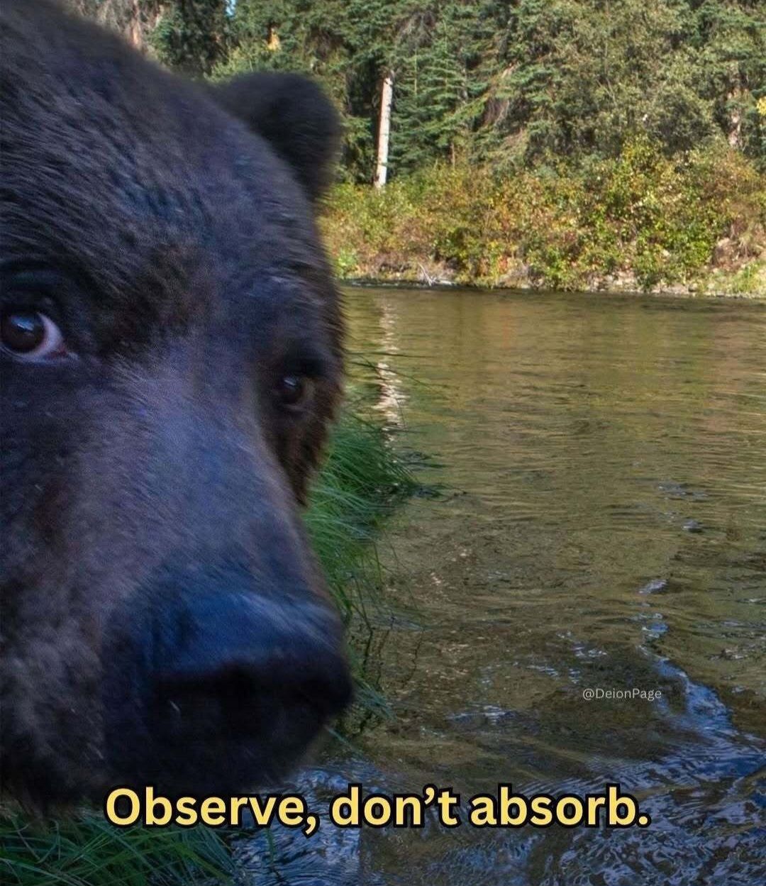 Dobrou noc, vy šelmy, nechrápejte velmi nebo si zboříte dům.