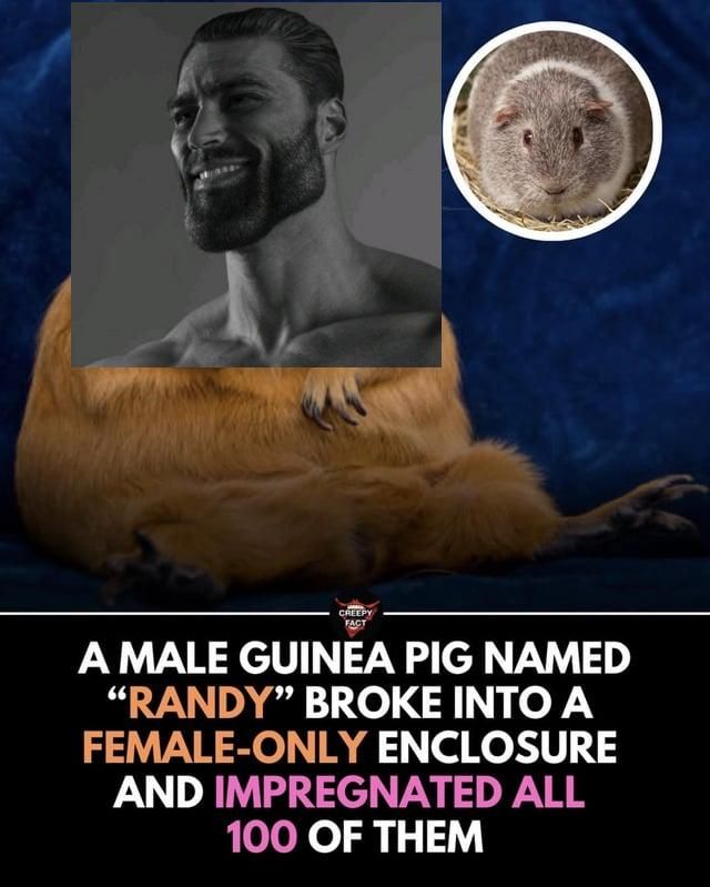 can't think of a title, so here we are