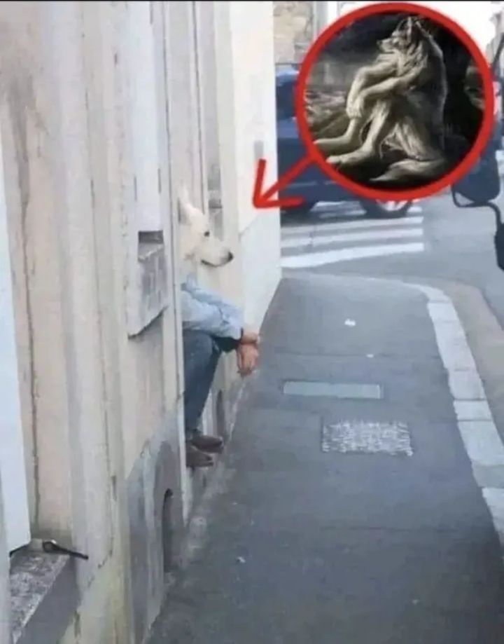 Yes i know it's a repost but i like this meme