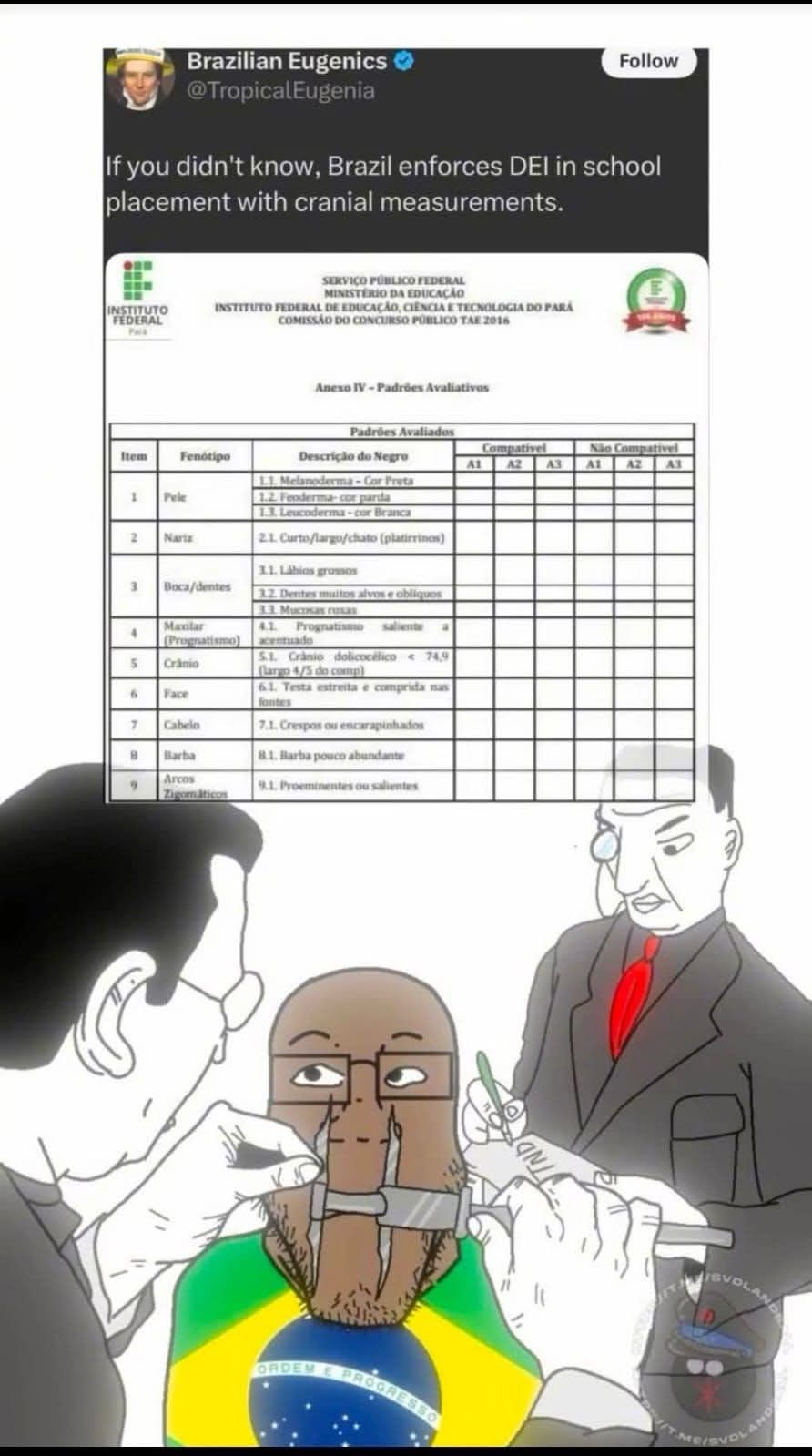 Fun facts about Brazil you'd think is a meme but it's actually real