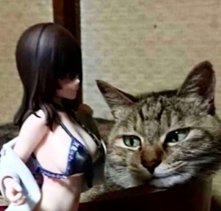 Downudder (AKA, The Dark Lord Duddles, the Silly Kitty)